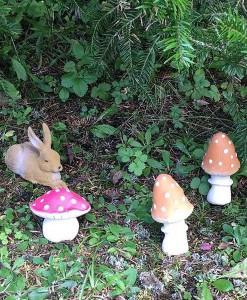 Kautiere von Oli&Carol