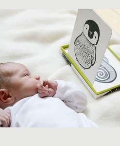 Babycard_Pinguin_Wee_Gallery