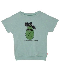 Sweater Shirt Avocado auf mina-lola.com von Noe & Zoe